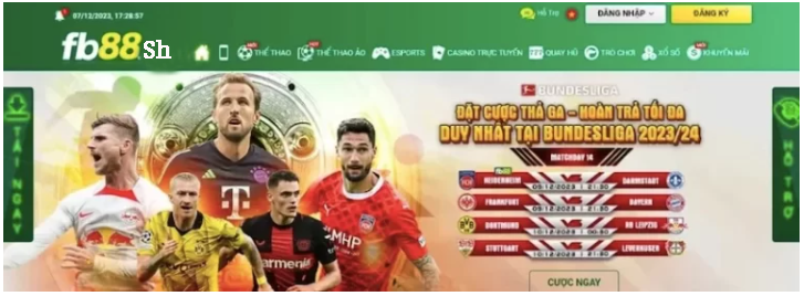 Thắc mắc thường gặp khi nhà cái bảo trì