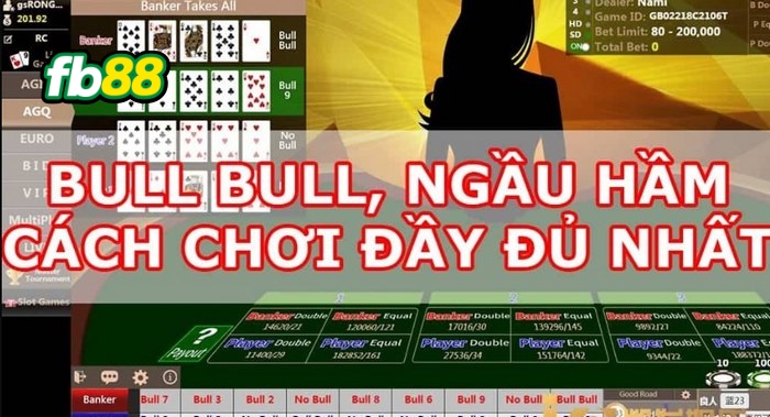 Áp dụng kinh nghiệm hay để có cách chơi Bull Bull chuẩn xác