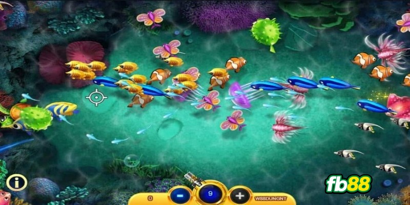 Chú ý quan trọng khi chơi bắn cá